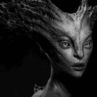 Instagram post from klausskovbo. This post is in position 31.