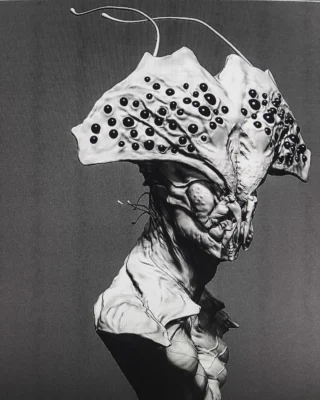 Instagram post from klausskovbo. This post is in position 23.