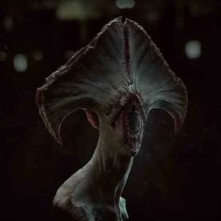 Instagram post from klausskovbo. This post is in position 32.